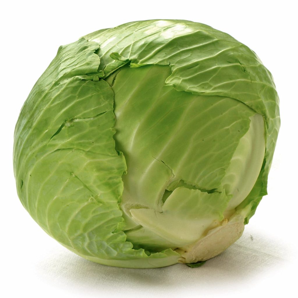 Green Cabbage GWPrice Ltd