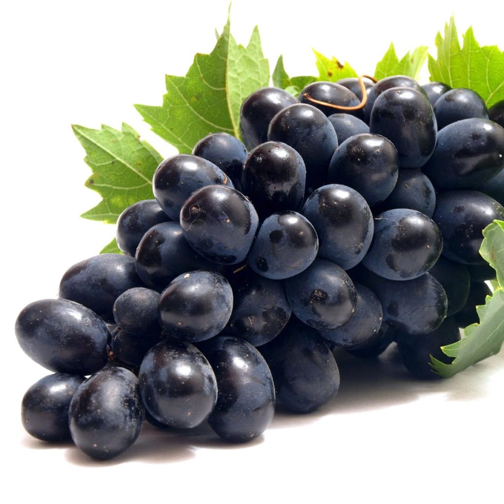 Black Grapes Punnet – GWPrice Ltd