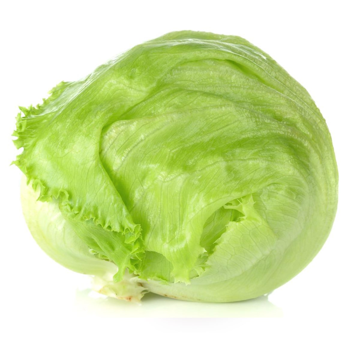 iceberg lettuce romaine lettuce